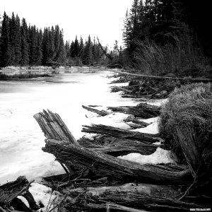 Banff Landscape - March Thaw On The Bow River
