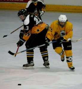Firebees Vs Chelmsford