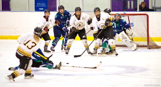 EIHA Trophy Weekend Final - Queen Bees Vs Diamonds