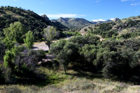 PENA BLANCA LAKE (9-28-10) west of nogales, scc, az -01 photo