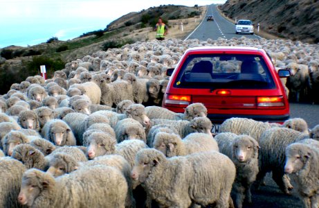 Down a rural road.NZ photo