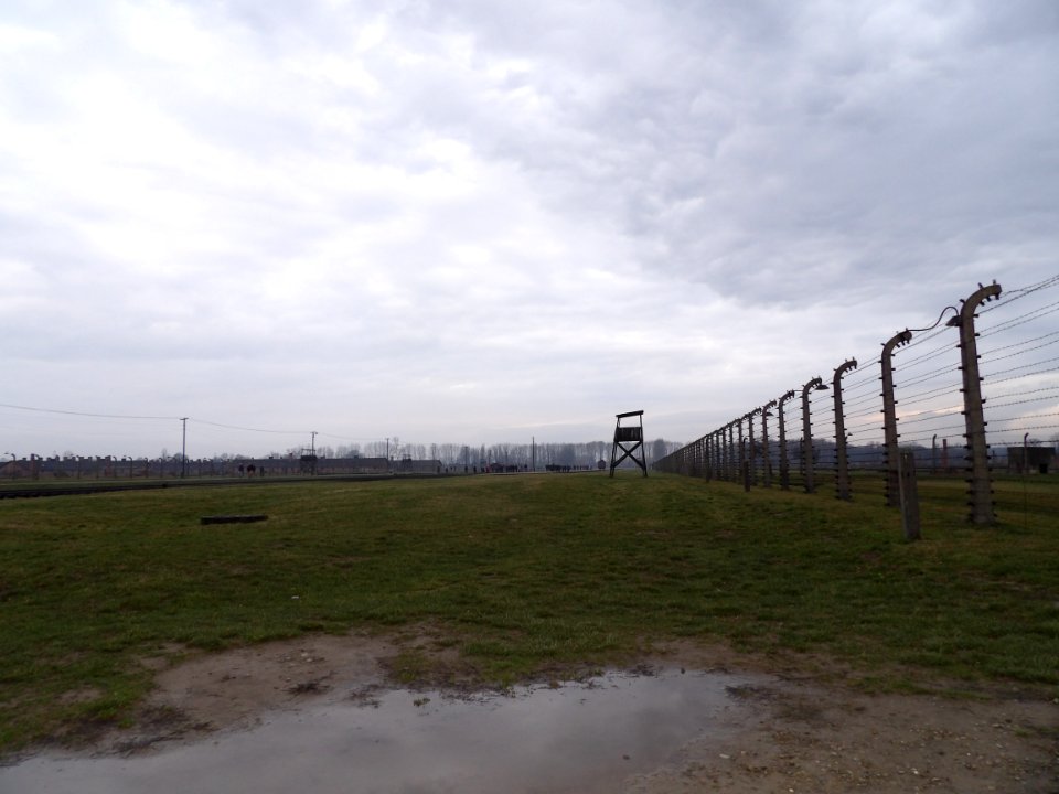 Auschwitz-Birkenau