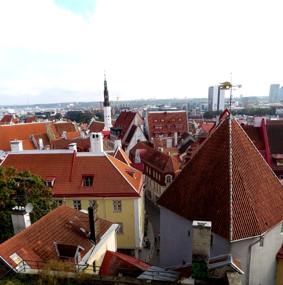 View of Tallinn's Rooftops
