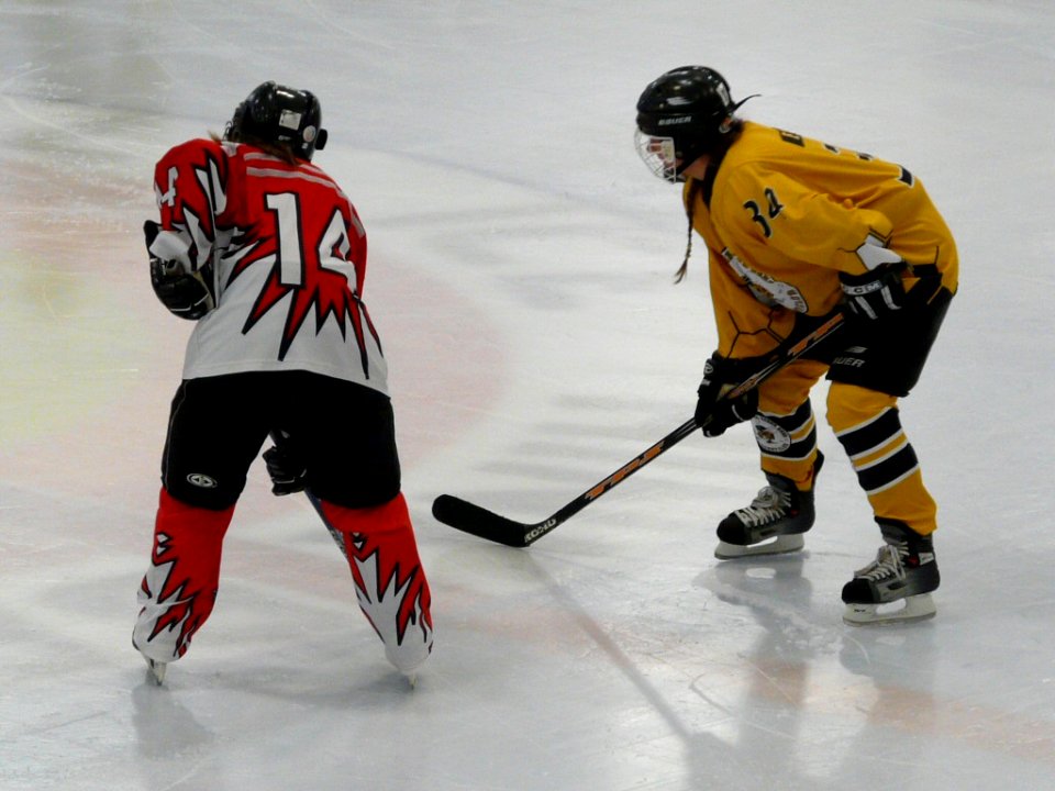 Bracknell Firebees Vs Swindon Topcats