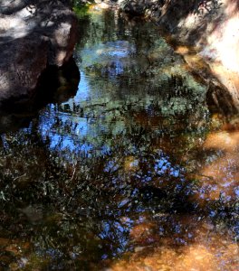 UPPER FLUX CANYON, Patagonia Hills, scc, az (9-25-10) -23