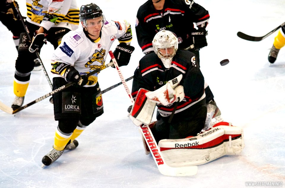 Bracknell Bees Vs Basingstoke Bison