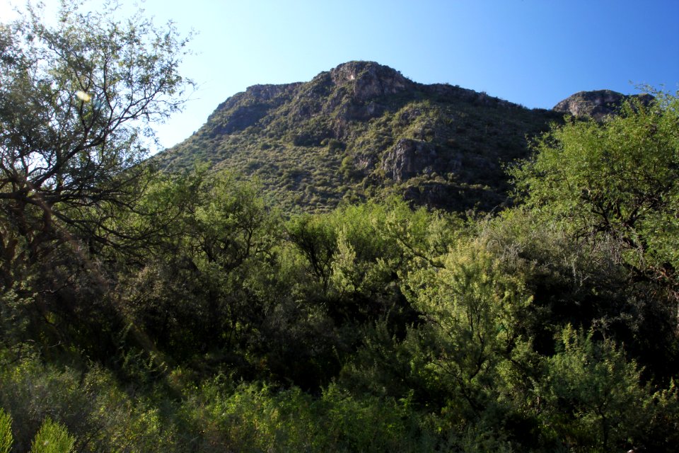MONTOSA CANYON, scc, az -02