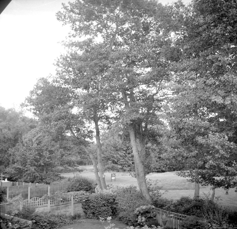 Kodak 66 Experiment