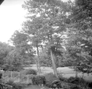 Kodak 66 Experiment