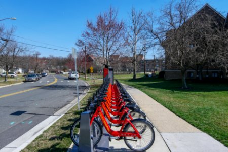 New station no. 443 - Amherst Ave & Elkins St (Wheaton MD)