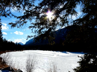 Banff - Bow River photo