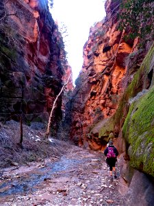 Bear Trap Creek photo