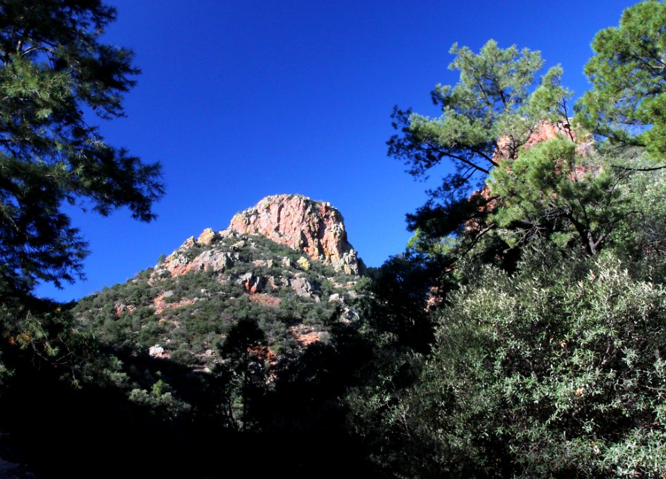 UPPER FLUX CANYON, Patagonia Hills, scc, az (9-25-10) -09