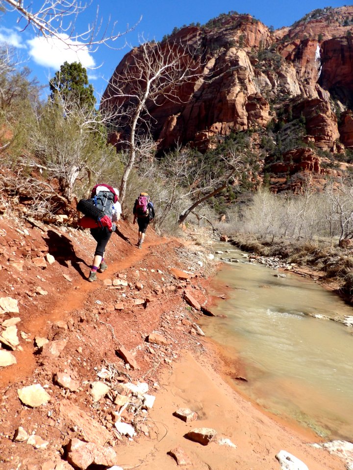 Silty La Verkin Creek