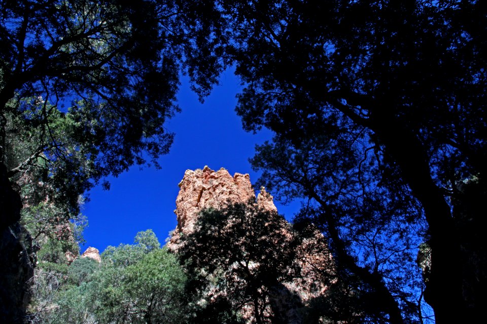 HUMBOLDT CANYON, Patagonia Hills, scc, az (11-30-10) - 01