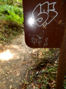 IMGP0256