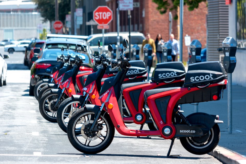 fleet of SCOOT rental scooters