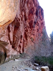 Bear Trap Creek