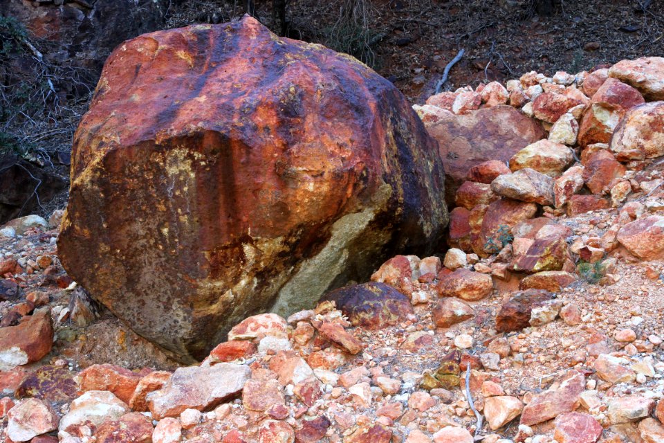 HUMBOLDT CANYON, Patagonia Hills, scc, az (10-30-10) - 04