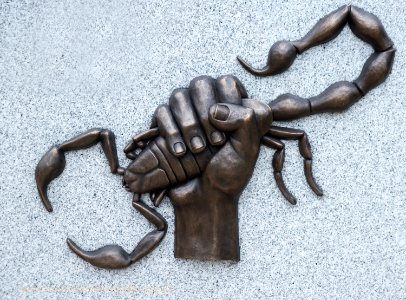 Scorpion and Clenched Fist