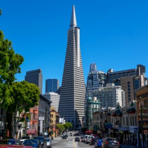 Transamerica Pyramid photo