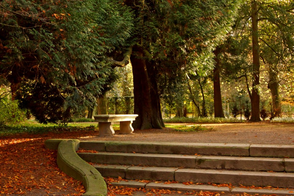 Düsseldorf Benrath: Treppe zur Bank