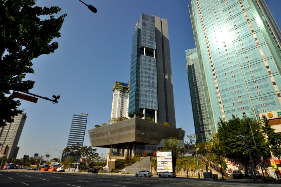 DSC 7051