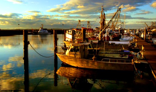 Port  Stephens. NSW Aust.
