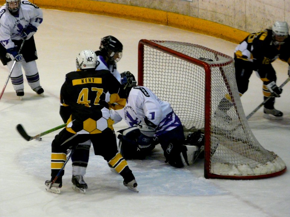 Bracknell Firebees Vs Milton Keynes Falcons