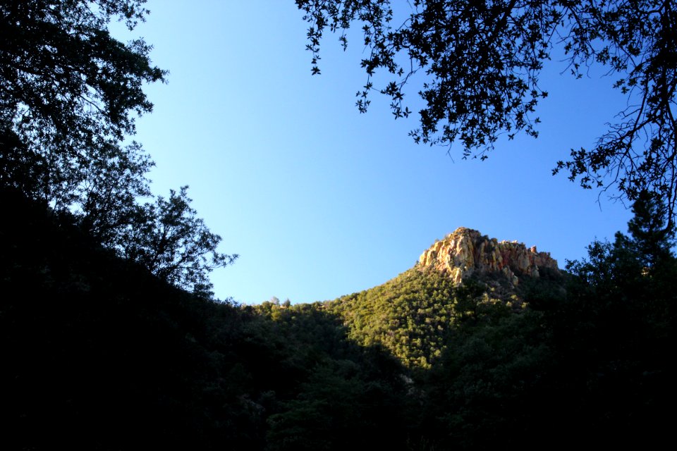 UPPER FLUX CANYON, Patagonia Hills, scc, az (9-25-10) -02