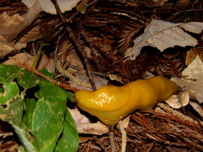 IMGP0223