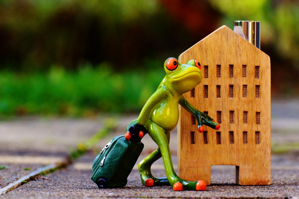 Frog luggage figure
