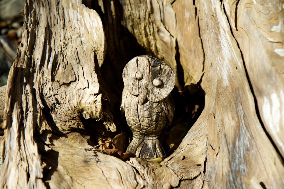 Rhizome carving owl