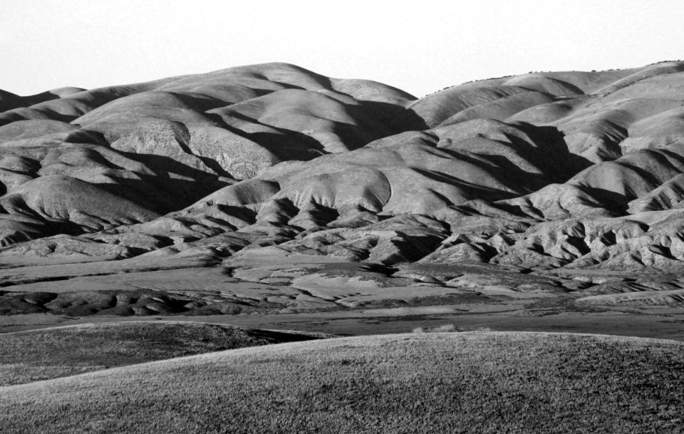 TEMBLORS from Cottonwood Springs -050c BW