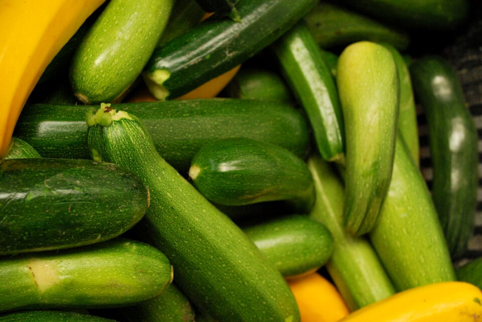 Vegetables gardener vegetable garden