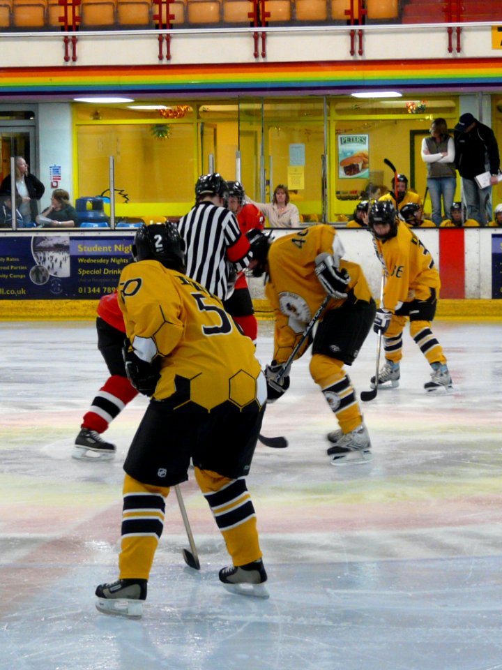 Firebees Vs Basingstoke Bison Ladies