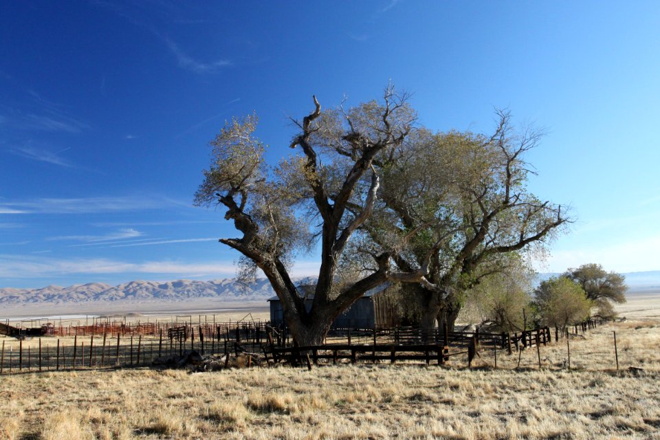 Saucito Ranch - 040b
