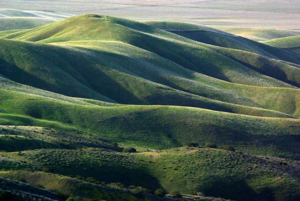 VIEW FROM CALIENTE RIDGE ROAD -402