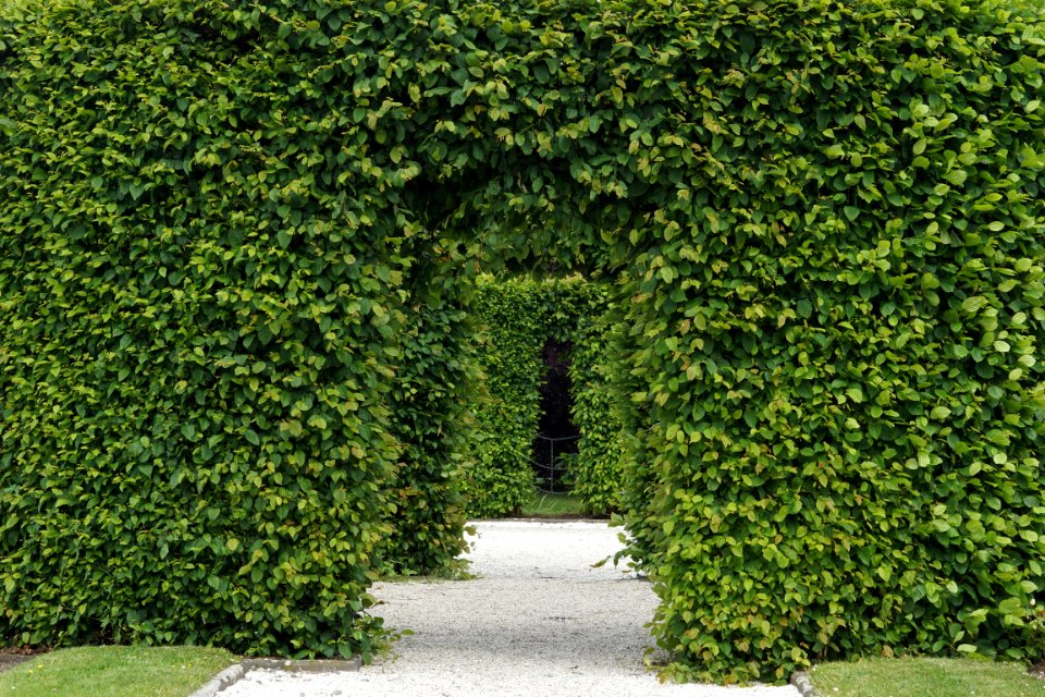 Die Hecke hinter der Hecke hinter der Hecke