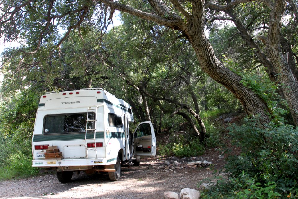 FRENCH JOE CANYON, Whetstone Mts, Az (9-1-10) -02