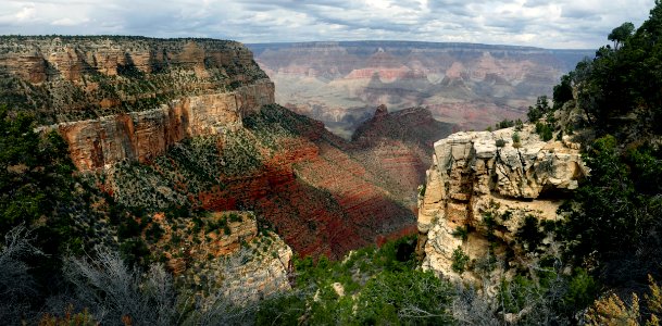 Grand Canyon National Park AZ. photo