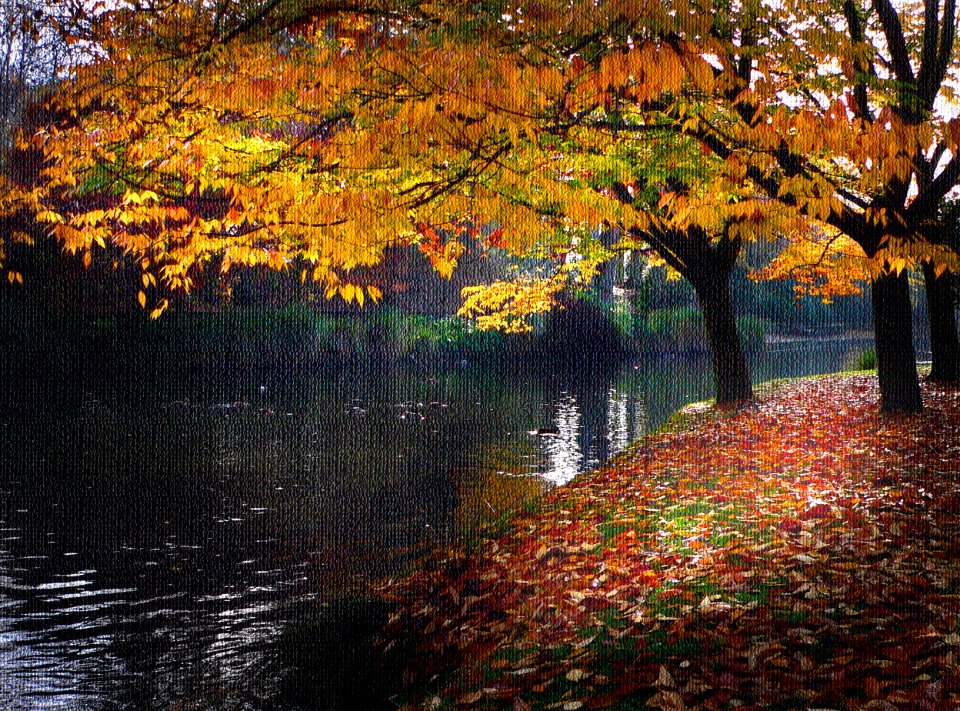 Hagley Park Christchurch New Zealand.