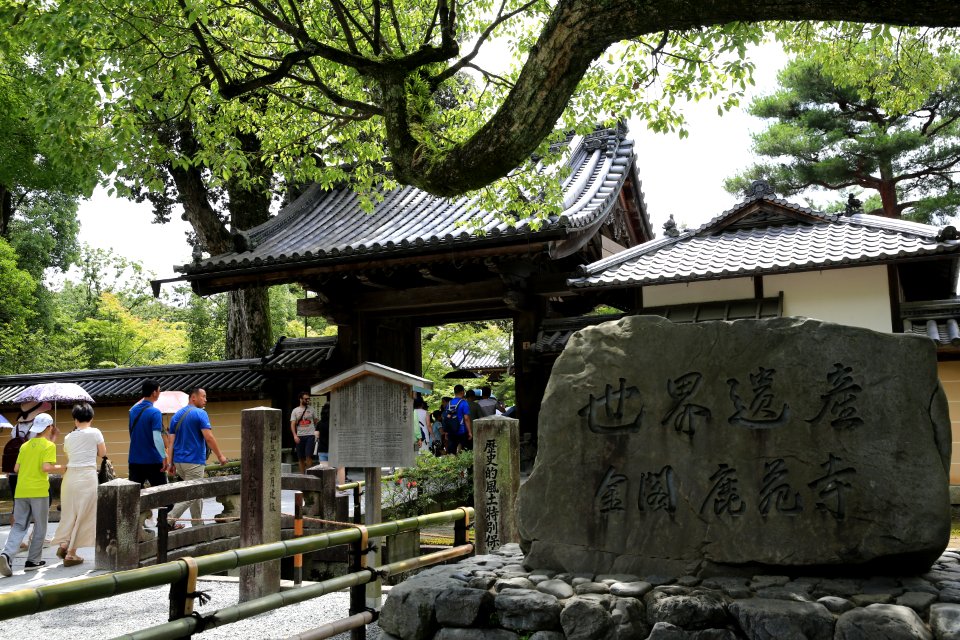 HZ0A3335