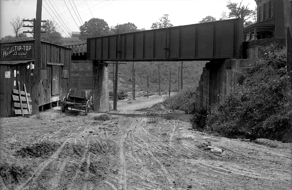 large 20090728-cp-0289
