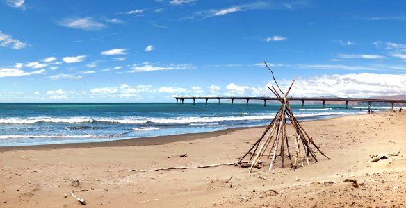 On the beach. photo