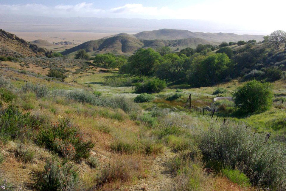 SULFUR SPRINGS -001