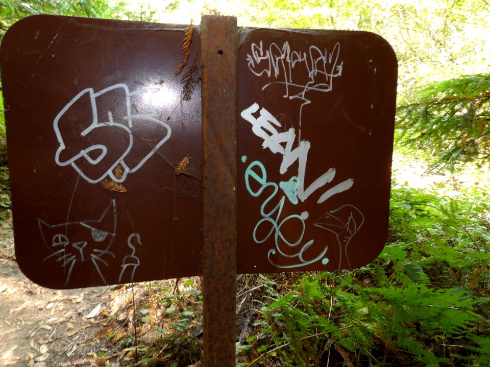 IMGP0257