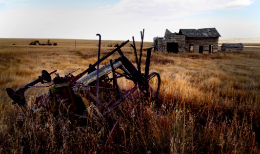 Rural landscape. photo