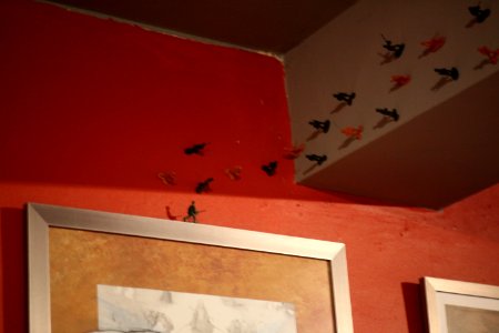 IMG 0905