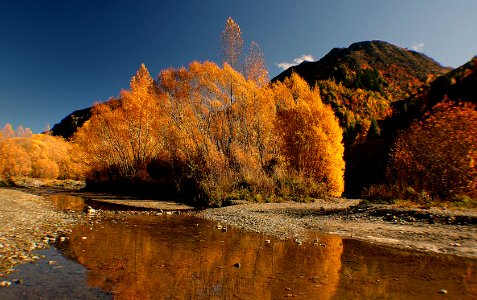 Autumn on the Arrow River NZ photo